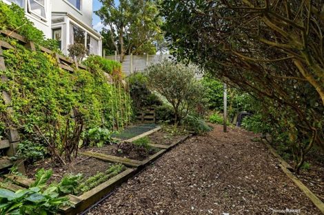 Photo of property in 132 The Ridgeway, Mornington, Wellington, 6021