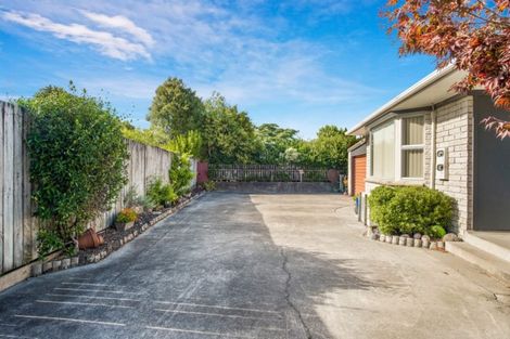 Photo of property in 18a North Street, Morrinsville, 3300