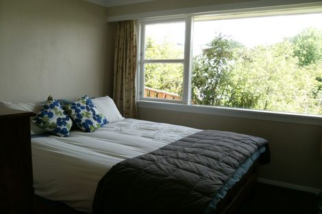 Photo of property in 72 Wilson Road, Balclutha, 9230