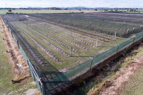 Photo of property in 1/3200 Cambridge Road, Rotoorangi, Cambridge, 3495