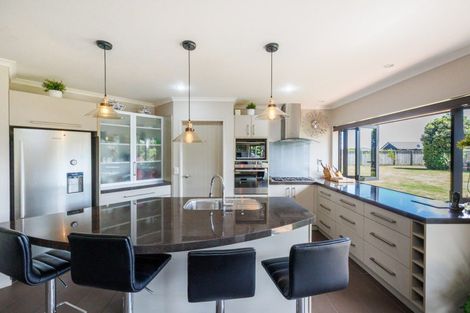 Photo of property in 92 Mount Taylor Drive, Feilding, 4775