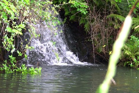 Photo of property in 69 Francis Road, Whakamarama, Tauranga, 3172