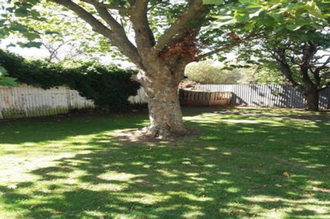 Photo of property in 41 Lyndhurst Street, Takaro, Palmerston North, 4412