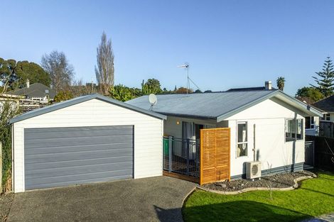 Photo of property in 101 Lowe Avenue, Thames, 3500