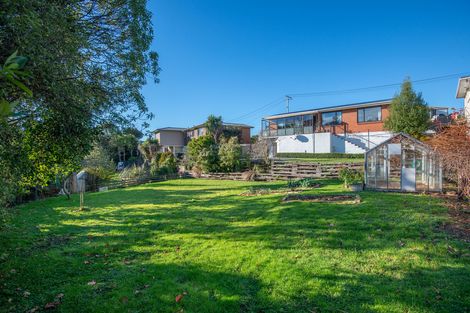 Photo of property in 3 Martin Road, Fairfield, Dunedin, 9018
