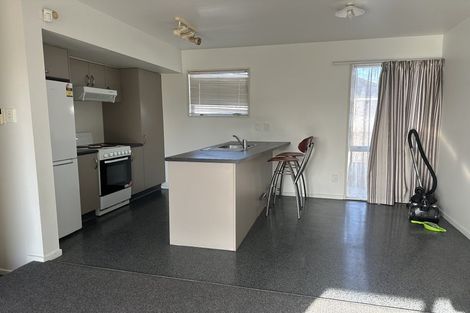 Photo of property in 101 Elizabeth Street, Riccarton, Christchurch, 8041