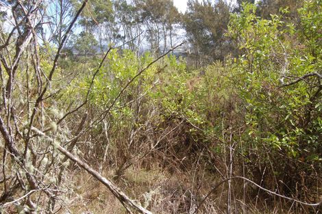 Photo of property in 914 Whakapirau Road, Whakapirau, Maungaturoto, 0583