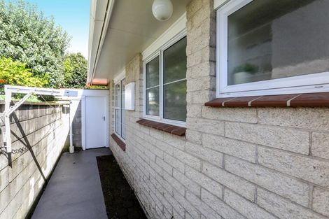 Photo of property in 38b Rimu Street, Strandon, New Plymouth, 4312