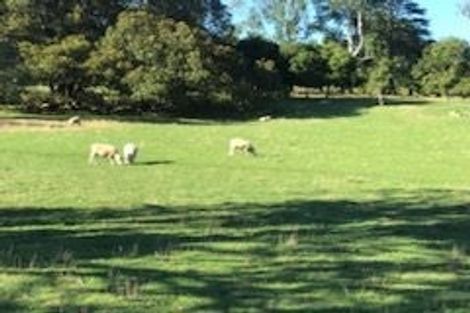 Photo of property in 5 Maungakiekie Avenue, Greenlane, Auckland, 1051