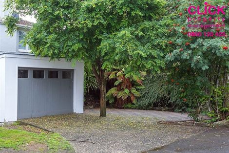 Photo of property in 40 Hawthorn Avenue, Mornington, Dunedin, 9011