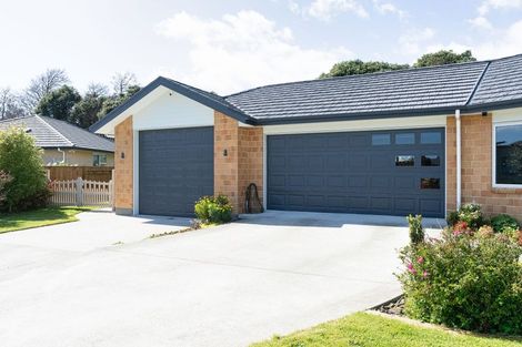 Photo of property in 28 Barry Curtis Place, Levin, 5510