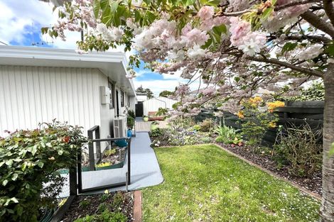 Photo of property in 1c Nelson Street, Dannevirke, 4930