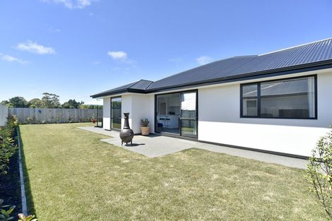 Photo of property in 45 Mcquillan Avenue, Woodend, 7610