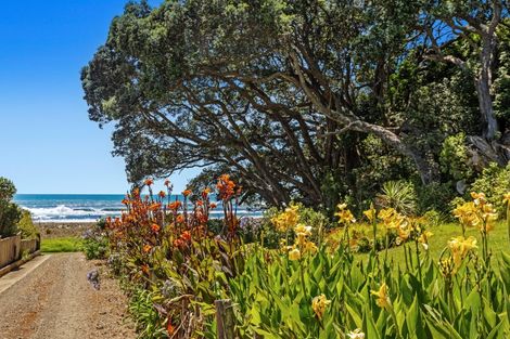 Photo of property in 233 Ohiwa Beach Road, Waiotahe, Opotiki, 3198