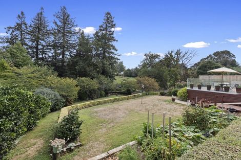 Photo of property in 18 Maple Place, Morrinsville, 3300