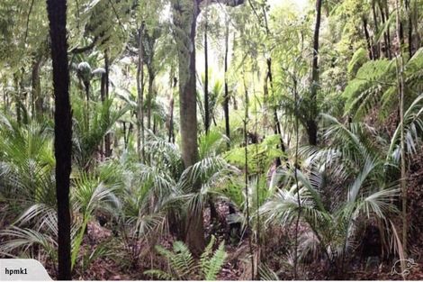 Photo of property in 19 Waikarekare Lane, Karekare, Auckland, 0772