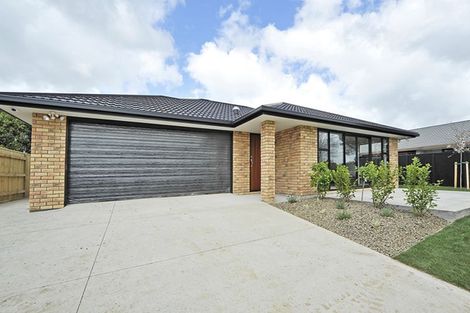 Photo of property in 43c Mcgregor Street, Milson, Palmerston North, 4414