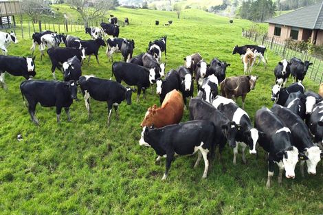 Photo of property in 2a Kelgary Place, Wellsford, 0900