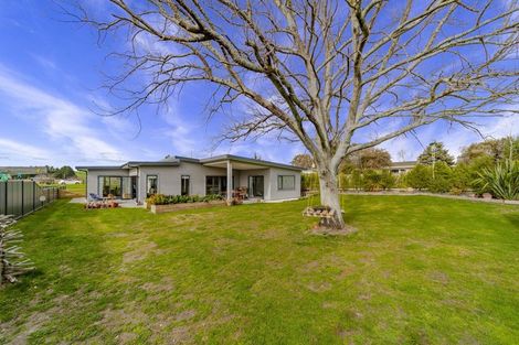 Photo of property in 1 Arabella Way, Waipukurau, 4200