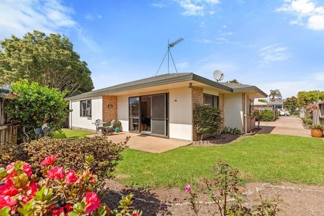 Photo of property in 12 Stableford Drive, Pyes Pa, Tauranga, 3112