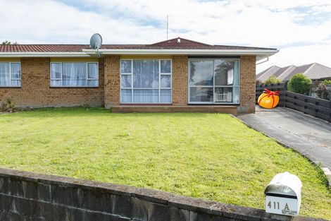 Photo of property in 411a Ruahine Street, Terrace End, Palmerston North, 4410