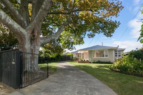Photo of property in 13 Avenue Road, Greenmeadows, Napier, 4112