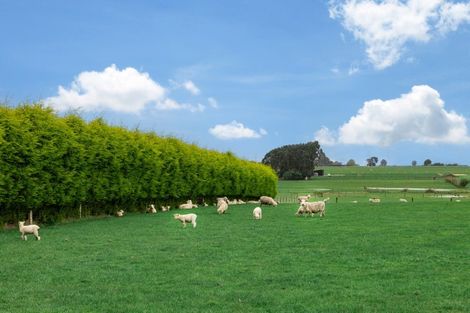 Photo of property in 39 Myross Road, Myross Bush, Invercargill, 9876