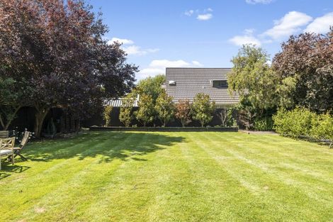 Photo of property in 3/77 Totara Street, Fendalton, Christchurch, 8041