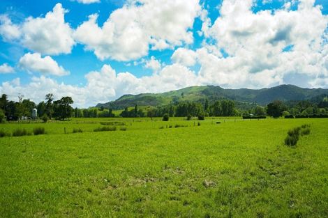 Photo of property in 29 Te Moananui Flats Road, Paeroa, 3673