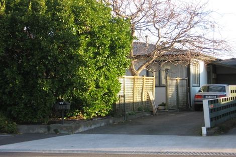 Photo of property in 350 Ruahine Street, Terrace End, Palmerston North, 4410