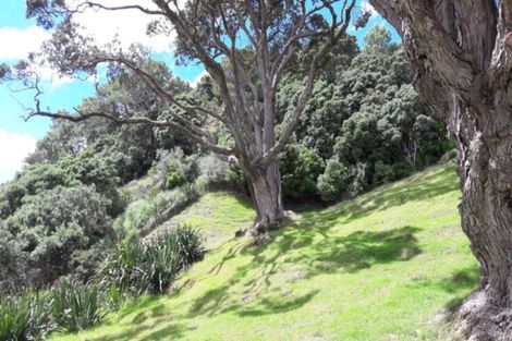 Photo of property in 130 Tangiora Avenue, Whangapoua, Coromandel, 3582