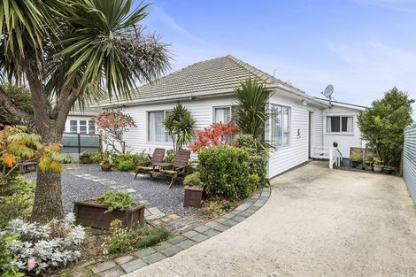 Photo of property in 42 Puketai Street, Andersons Bay, Dunedin, 9013