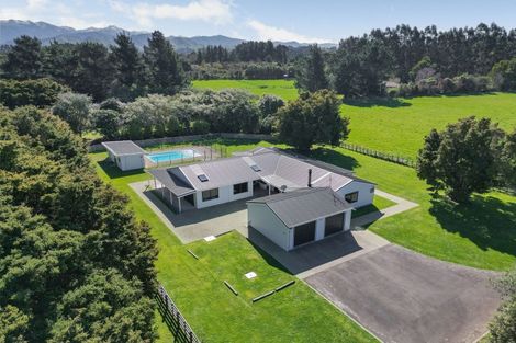 Photo of property in 119 Tararua Drive, Upper Plain, Masterton, 5888