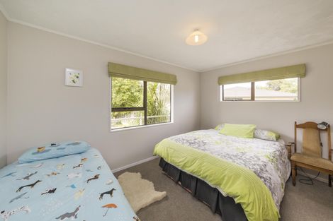 Photo of property in 84 Mulgrave Street, Ashhurst, 4810