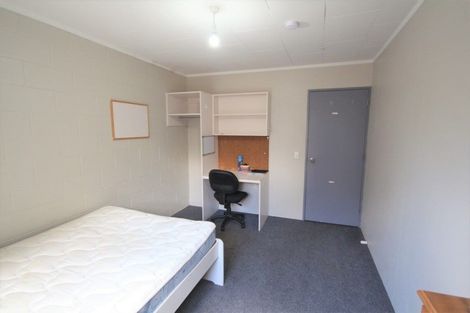 Photo of property in 31d Duke Street, North Dunedin, Dunedin, 9016