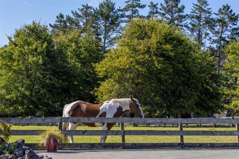 Photo of property in 883 Peak Road, Helensville, 0875