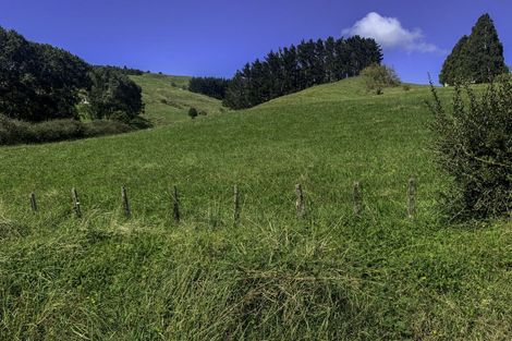 Photo of property in 580 Maratoto Road, Hikutaia, Paeroa, 3674