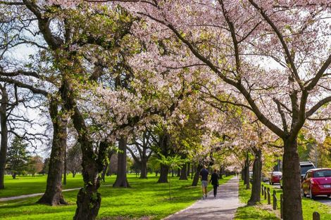 Photo of property in 50a Fendalton Road, Fendalton, Christchurch, 8014