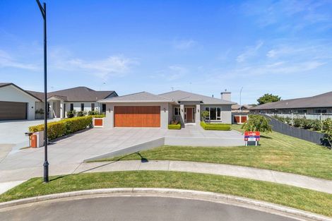 Photo of property in 12 Amberley Place, Flagstaff, Hamilton, 3210