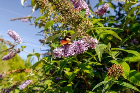 Photo of property in 77 High Street, Eketahuna, 4900