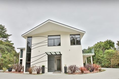 Photo of property in 5a Arthurstown Road, Ruatapu, Hokitika, 7883