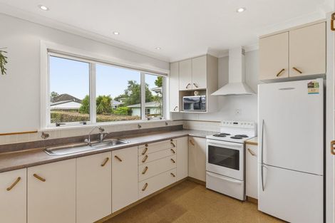 Photo of property in 9 Chester Street, Levin, 5510