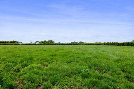 Photo of property in 156 Manutahi Road, Tarurutangi, New Plymouth, 4372