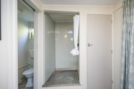 Photo of property in 395 Ruahine Street, Terrace End, Palmerston North, 4410