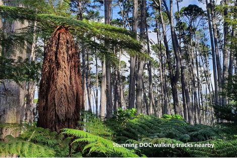 Photo of property in 20 Wilson Avenue, Kawau Island, 0920