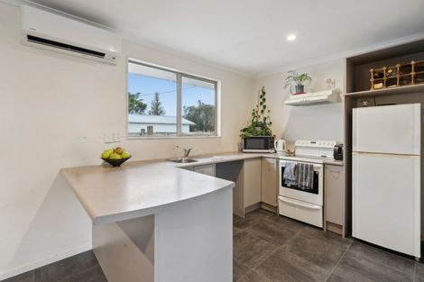 Photo of property in 106 Mako Mako Road, Levin, 5510