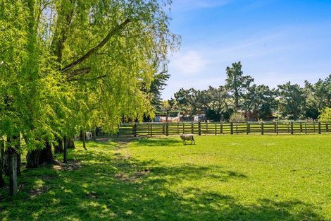 Photo of property in 16/20 Duck Pond Road, Motukarara, Christchurch, 7672
