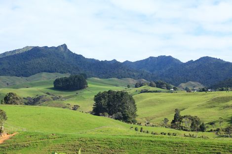 Photo of property in 76 Te Ahiawa Road, Raglan, 3297