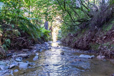 Photo of property in 1469 Pack Spur Road, Mataikona, Masterton, 5889
