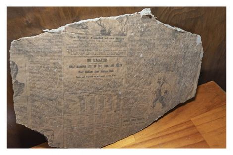 Photo of property in 5 Rentone Street, Stepneyville, Nelson, 7010